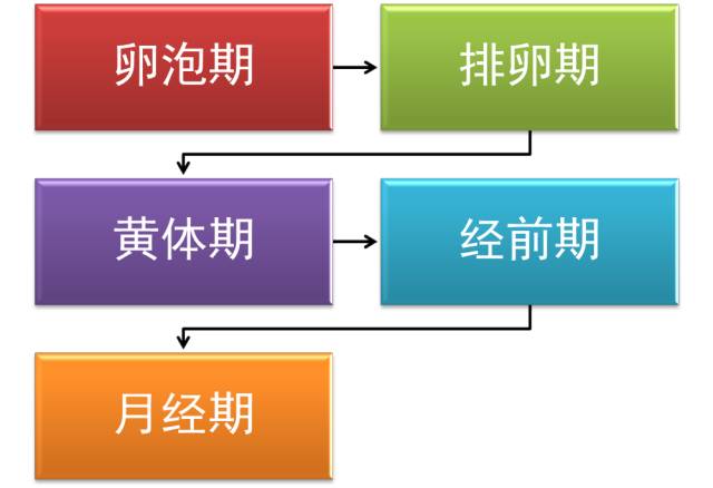 生理期能否跑步的那些事儿？